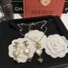 cc Earrings