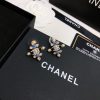 cc Earrings