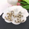 cc Earrings
