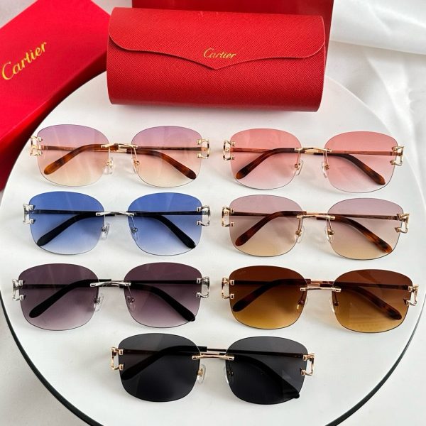 CAR Eyewear SIZE: 52-19-145