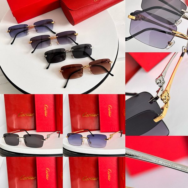 CAR Eyewear SIZE: 56-15-145