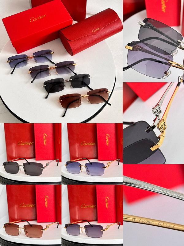 CAR Eyewear SIZE: 56-15-145