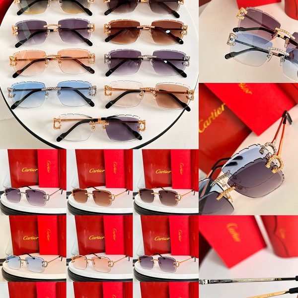 CAR Eyewear SIZE: 56-18-145