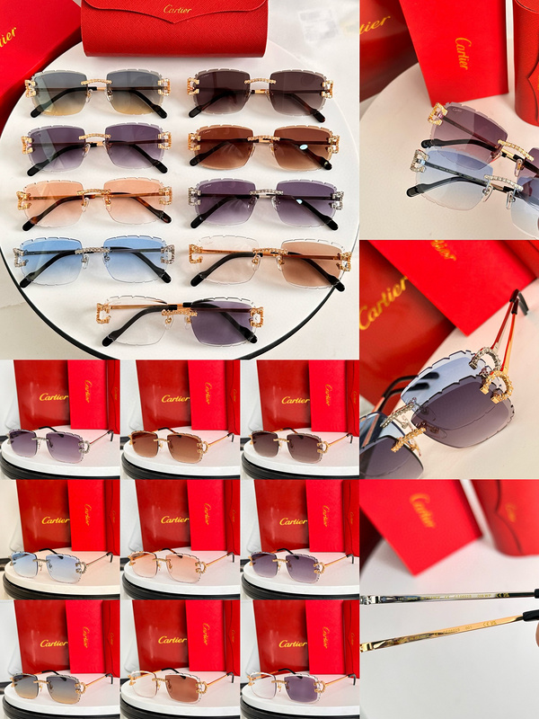 CAR Eyewear SIZE: 56-18-145