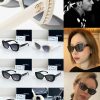 CC* Eyewear SIZE: 56-16-140