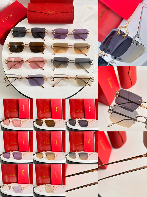 CAR Eyewear SIZE: 140