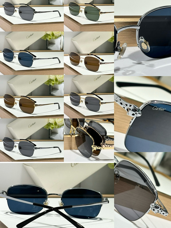 CAR Eyewear SIZE: 54-19-145