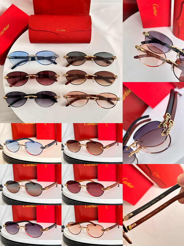 CAR Eyewear SIZE: 59-17-143