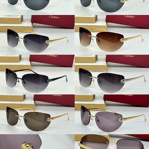 CAR Eyewear SIZE: 51-15-115