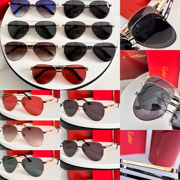 CAR Eyewear SIZE: 60-15-145