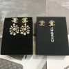 cc Earrings