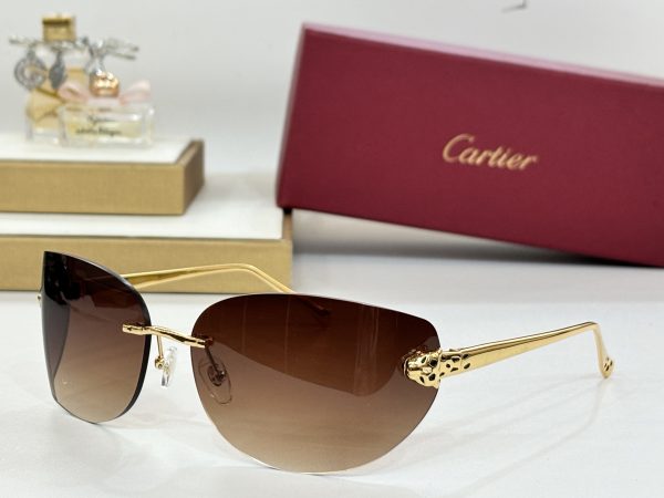 CAR Eyewear SIZE: 51-15-115