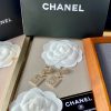 cc Earrings