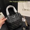 D new arrival Toujours bag size: 17*18cm