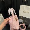 D new arrival Toujours bag size: 17*18cm