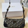 D new arrival Wanderlust hobo bag size: 26 cm