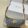 D new arrival Wanderlust hobo bag size: 26 cm