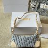 D new arrival Wanderlust hobo bag size: 26 cm