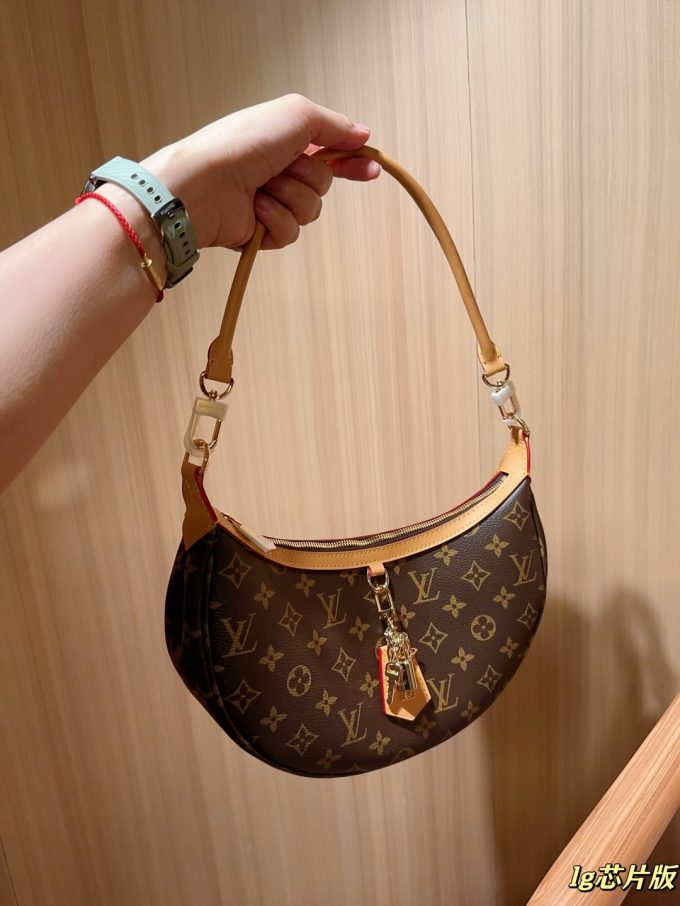 Louis new arrival looping hobo bag size: 27*14*6 cm - Image 4