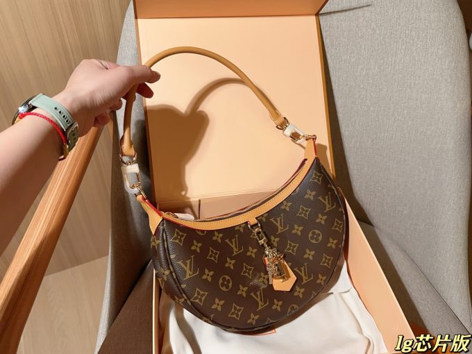 Louis new arrival looping hobo bag size: 27*14*6 cm - Image 3