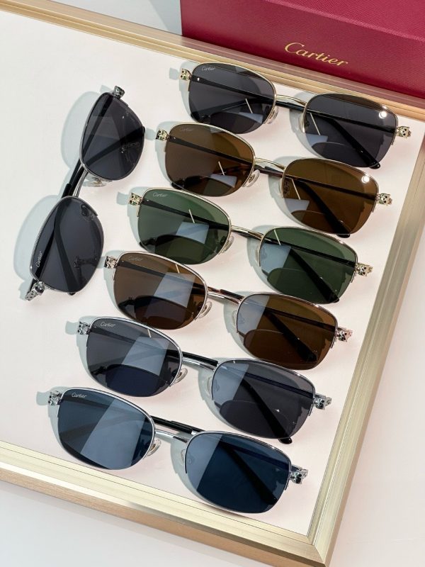 CAR Eyewear SIZE: 54-19-145