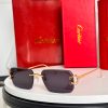 CAR Eyewear SIZE: 140