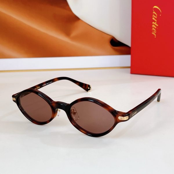 CAR Eyewear SIZE: 56-18-145