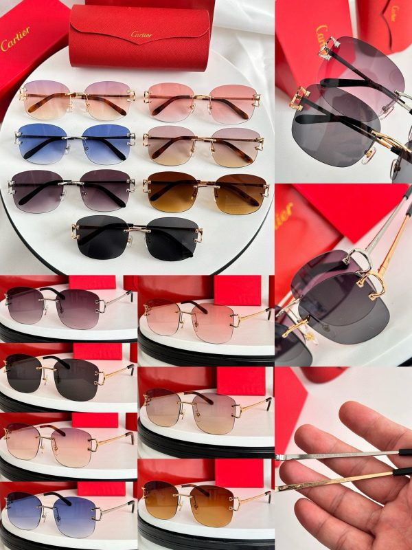 CAR Eyewear SIZE: 52-19-145