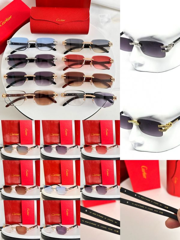 CAR Eyewear SIZE: 56-18-145