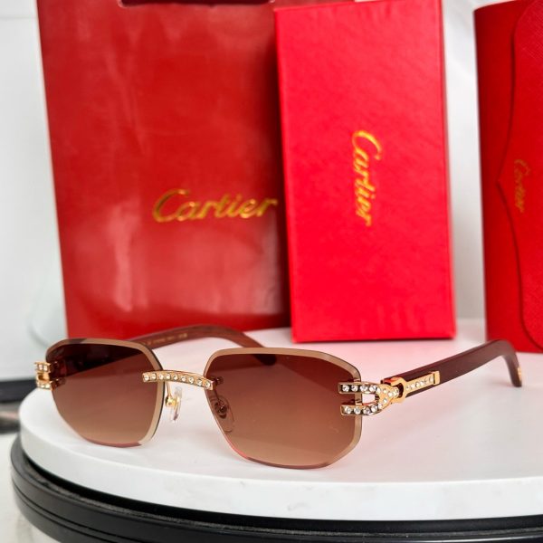 CAR Eyewear SIZE: 56-18-145