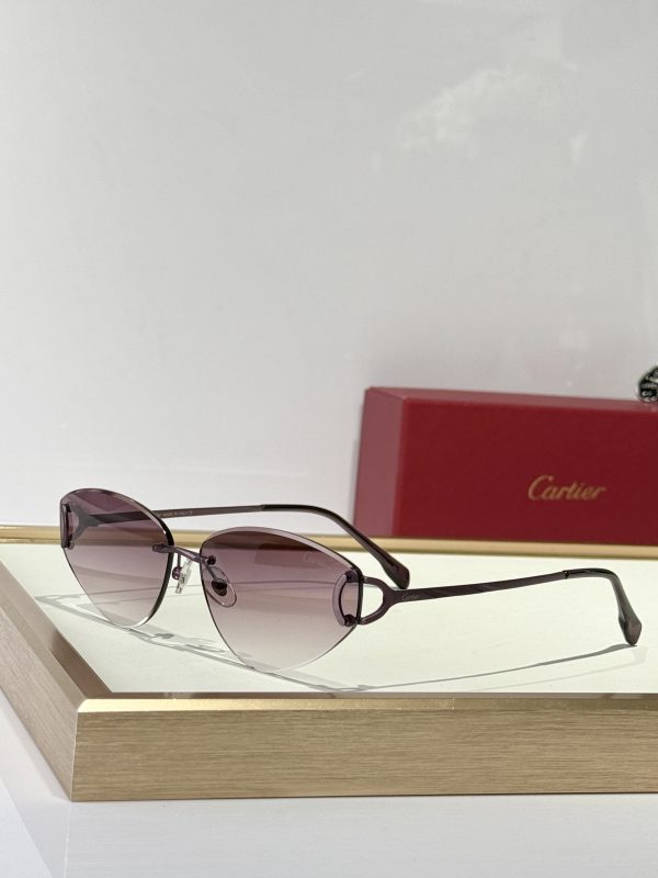 CAR Eyewear SIZE: 65-15-146