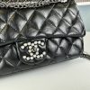 cc 23A new arrival Pearl bag size: 25x17x7 cm