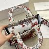 D Lady D-Lite new arrival women bag size :24cm