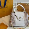 Louis Capucines new arrival bag