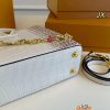 Louis Capucines new arrival bag