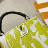 Louis capucines new arrival bag