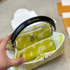 Louis capucines new arrival bag