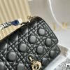 CD Miss 2024 new arrival bag size: 24*15cm