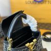 Louis Capucines new arrival bag
