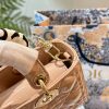 Cruise 2024Mirco lady D~Joy size: 22.5*14 cm