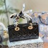 Cruise 2024Mirco lady D~Joy size: 22.5*14 cm