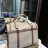 GG new arrival pet bags size: 39*20*32 cm