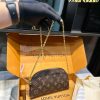 Louis Alma new arrival mini bag size: 24*17 cm