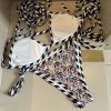 BB New Arrival Bikini Set 0004