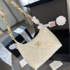 Cc new arrival 24 hobo bag size: 22cm