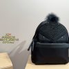 Fen new arrival backpack bag size: 33.36 cm