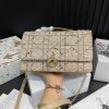 D new arrival woc bag size: 24*15cm