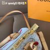 Louis new arrival SPEEDY 20 cherry bag size:20*15 cm