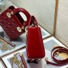 CD Small Lady Bag