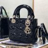 CD Small Lady Bag